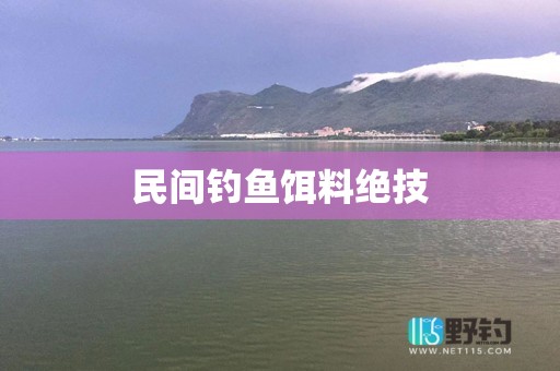 民间钓鱼饵料绝技