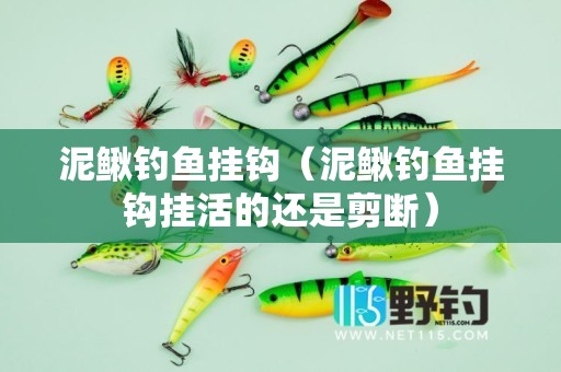 泥鳅钓鱼挂钩（泥鳅钓鱼挂钩挂活的还是剪断）
