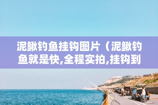 泥鳅钓鱼挂钩图片（泥鳅钓鱼就是快,全程实拍,挂钩到上鱼一分钟搞定）