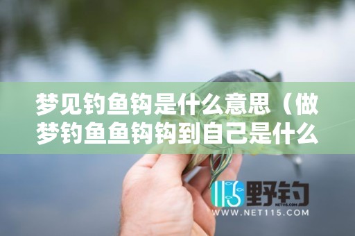 梦见钓鱼钩是什么意思（做梦钓鱼鱼钩钩到自己是什么意思）