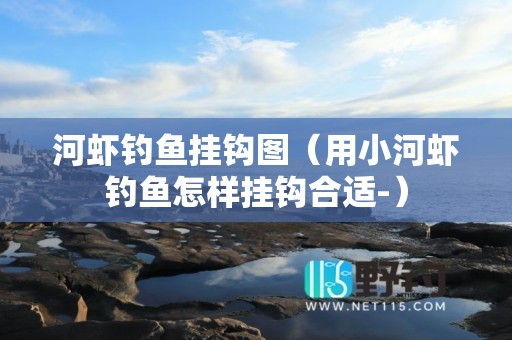 河虾钓鱼挂钩图（用小河虾钓鱼怎样挂钩合适-）