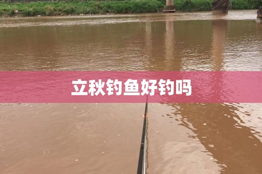 立秋钓鱼好钓吗