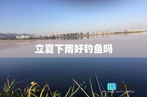 立夏下雨好钓鱼吗