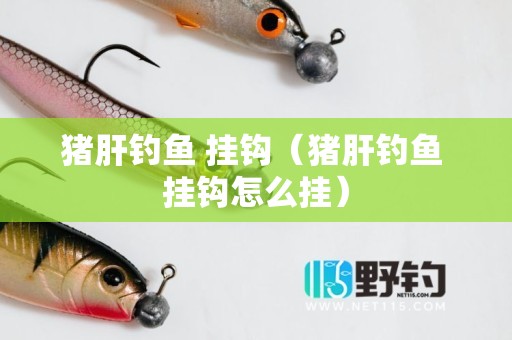猪肝钓鱼 挂钩（猪肝钓鱼 挂钩怎么挂）