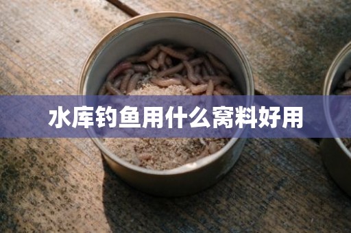 水库钓鱼用什么窝料好用