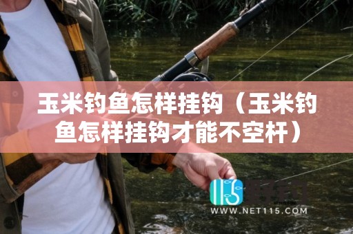 玉米钓鱼怎样挂钩（玉米钓鱼怎样挂钩才能不空杆）