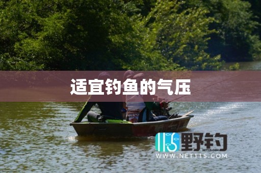 适宜钓鱼的气压
