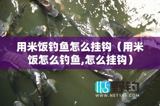用米饭钓鱼怎么挂钩（用米饭怎么钓鱼,怎么挂钩）