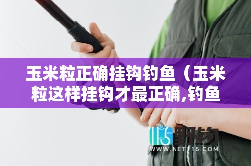玉米粒正确挂钩钓鱼（玉米粒这样挂钩才最正确,钓鱼时一钓一个准!）