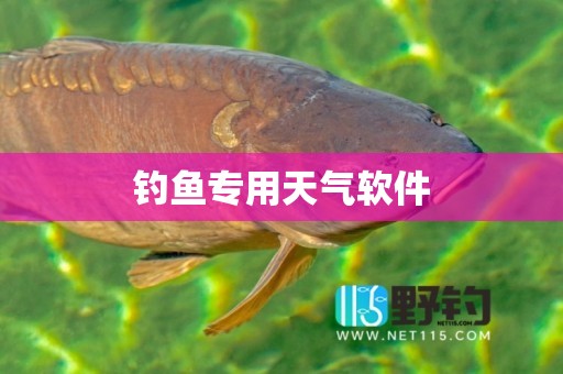 钓鱼专用天气软件