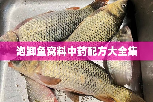 泡鲫鱼窝料中药配方大全集