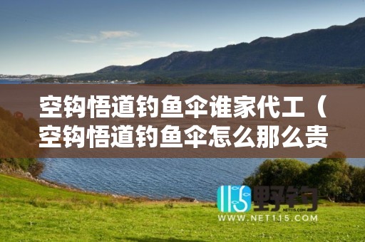 空钩悟道钓鱼伞谁家代工（空钩悟道钓鱼伞怎么那么贵）