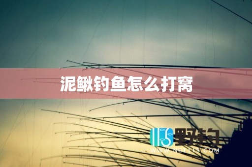 泥鳅钓鱼怎么打窝