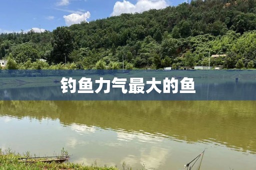 钓鱼力气最大的鱼