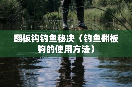 翻板钩钓鱼秘决（钓鱼翻板钩的使用方法）