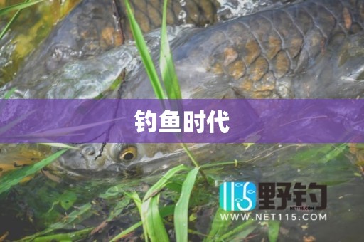 钓鱼时代