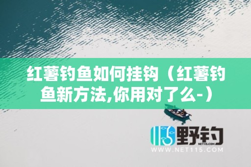 红薯钓鱼如何挂钩（红薯钓鱼新方法,你用对了么-）