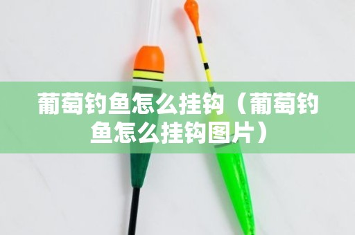 葡萄钓鱼怎么挂钩（葡萄钓鱼怎么挂钩图片）