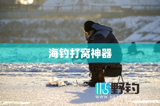 海钓打窝神器