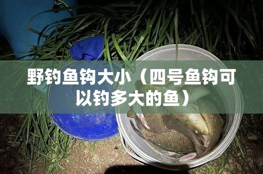 野钓鱼钩大小（四号鱼钩可以钓多大的鱼）