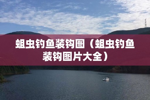 蛆虫钓鱼装钩图（蛆虫钓鱼装钩图片大全）