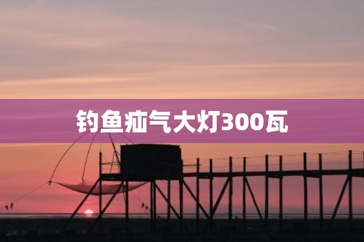 钓鱼疝气大灯300瓦