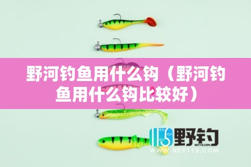 野河钓鱼用什么钩（野河钓鱼用什么钩比较好）