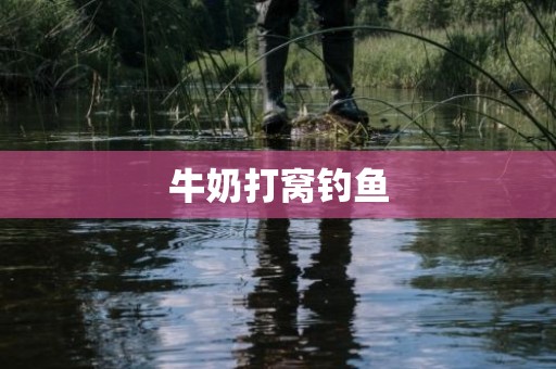 牛奶打窝钓鱼