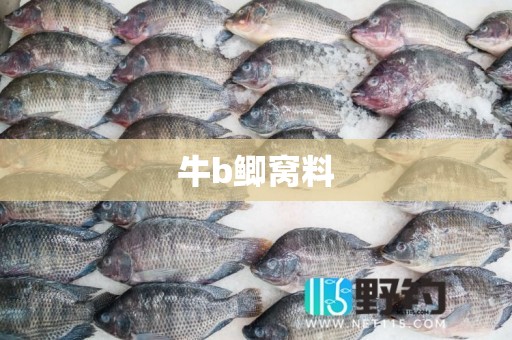 牛b鲫窝料