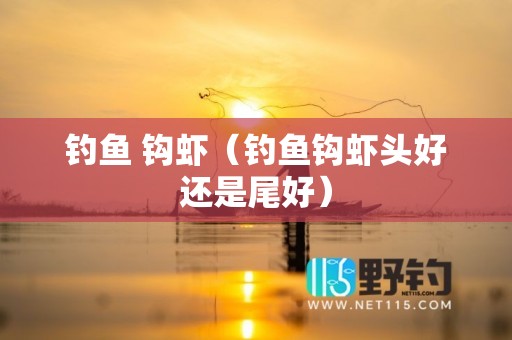 钓鱼 钩虾（钓鱼钩虾头好还是尾好）