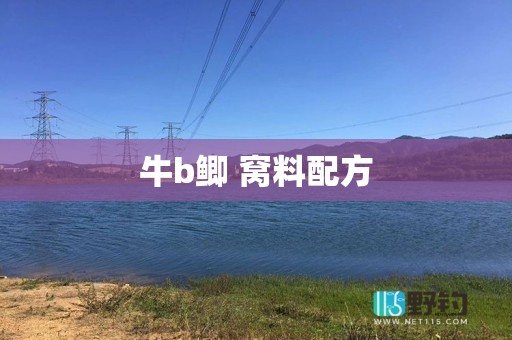 牛b鲫 窝料配方