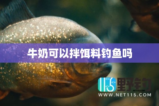 牛奶可以拌饵料钓鱼吗