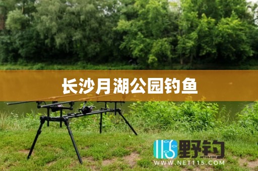 长沙月湖公园钓鱼