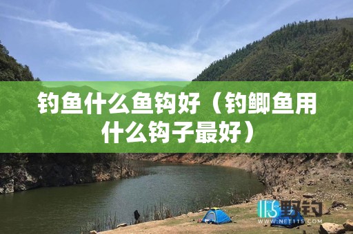 钓鱼什么鱼钩好（钓鲫鱼用什么钩子最好）
