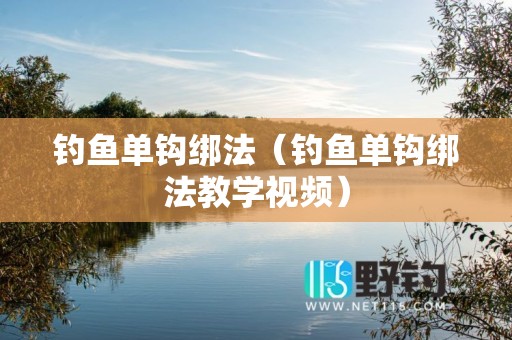 钓鱼单钩绑法（钓鱼单钩绑法教学视频）