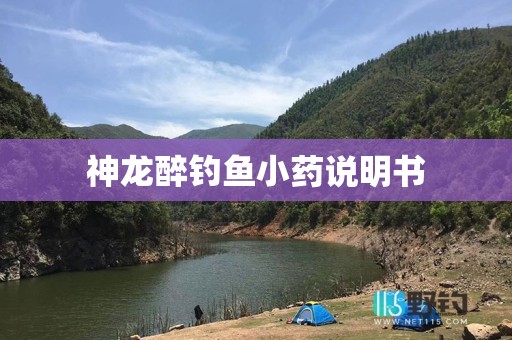 神龙醉钓鱼小药说明书
