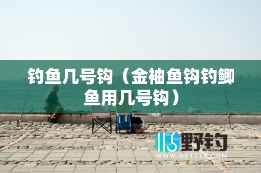 钓鱼几号钩（金袖鱼钩钓鲫鱼用几号钩）