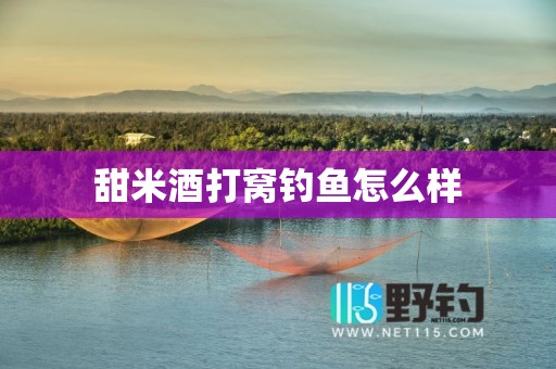 甜米酒打窝钓鱼怎么样