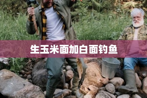 生玉米面加白面钓鱼