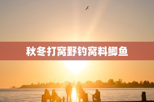 秋冬打窝野钓窝料鲫鱼