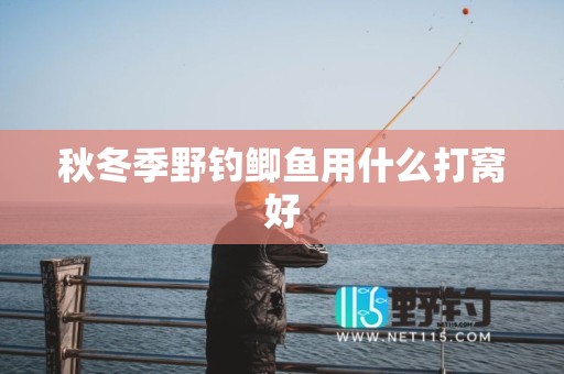 秋冬季野钓鲫鱼用什么打窝好