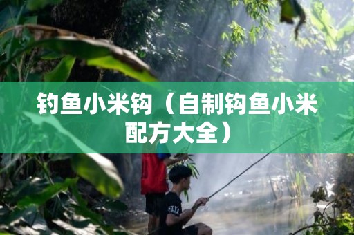 钓鱼小米钩（自制钩鱼小米配方大全）