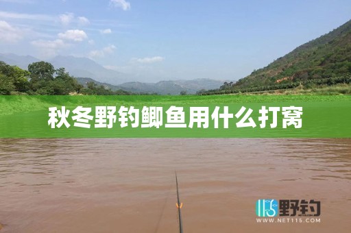 秋冬野钓鲫鱼用什么打窝