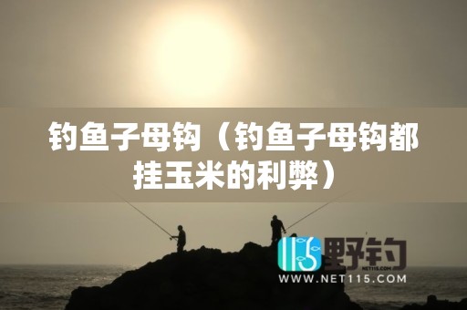 钓鱼子母钩（钓鱼子母钩都挂玉米的利弊）