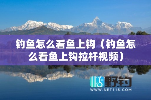 钓鱼怎么看鱼上钩（钓鱼怎么看鱼上钩拉杆视频）
