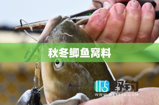 秋冬鲫鱼窝料