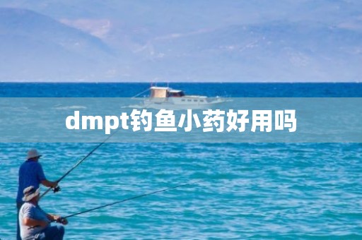dmpt钓鱼小药好用吗