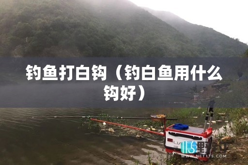 钓鱼打白钩（钓白鱼用什么钩好）