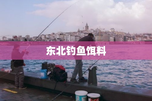 东北钓鱼饵料