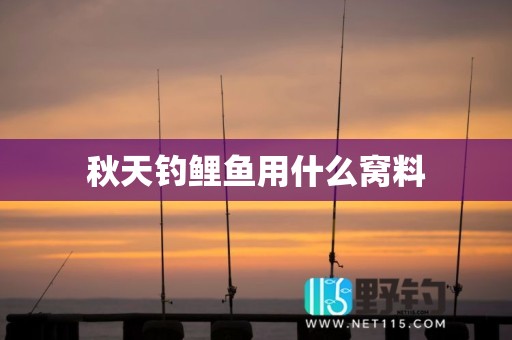 秋天钓鲤鱼用什么窝料